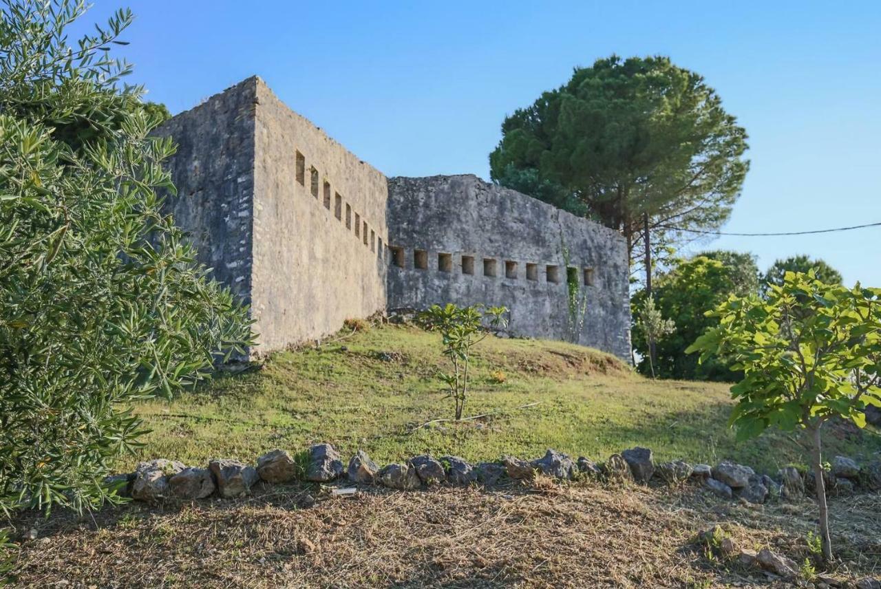 Villa OMNIA - Kommeno bay Dassia  Eksteriør billede